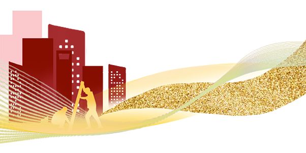 汇劳模|2025年上海市先进工作者——周洁(图5)