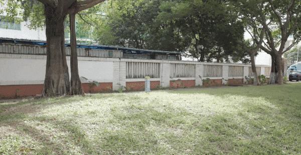 深圳宝安：社区“小改造”居民很满意(图3)